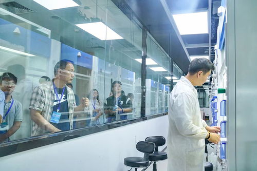 四川 稅引擎 驅動新質生產(chǎn)力加速形成